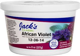 Jack's African Violet (8 oz)